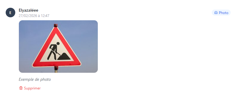 Description de la capture